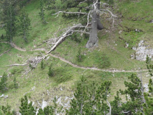 Kofto Path After Leaving Spilios Agapitos Refuge, Mount Olympus