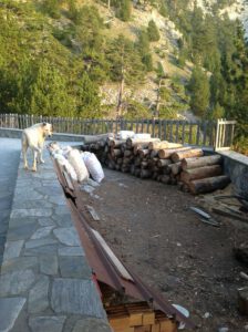 Woodpile and Mountain Dog at Refuge A