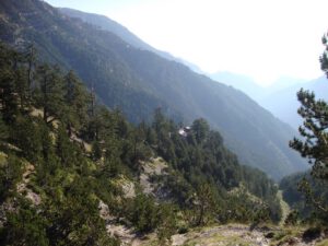 Refuge A Among the Forests of Mount Olympus