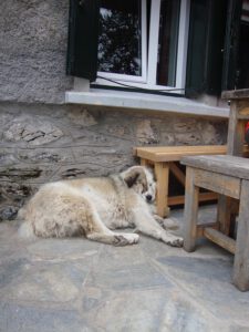 Koukla Resting at Refuge A, Mount Olympus