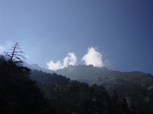 Peaks of Mount Olympus Above the Forest