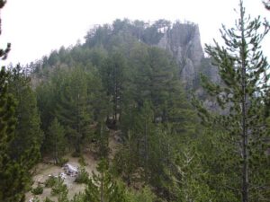 Forest Route Between Gortsia and Petrostrouga, Mount Olympus