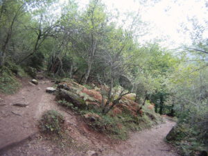 A small waterfall flows into a clear turquoise pool within the Enipeas Gorge on the lower slopes of Mount Olympus, Greece. Surrounded by steep rock walls and dense forest vegetation, the gorge forms part of the scenic hiking routes that connect Litochoro with the mountain trails leading toward the Olympus refuges.
