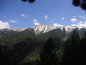 Snow-Capped Peaks Above the Forests of Mount Olympus