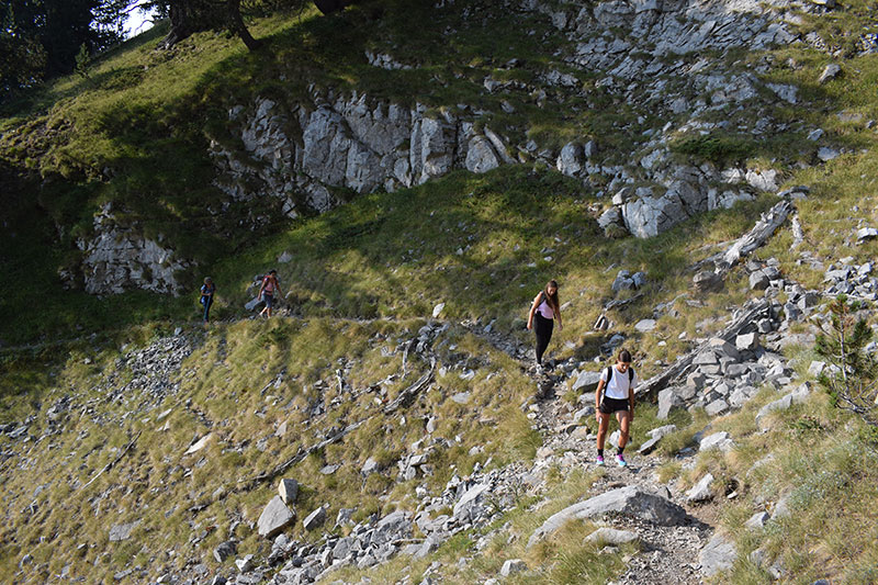 Spilios Agapitos - Kofto - Apostolides