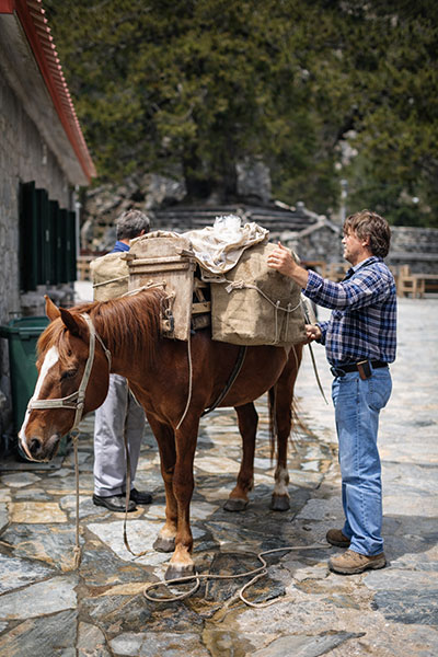Delivery Zolota Refuge