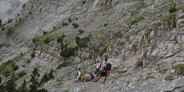 Spilios Agapitos - Kofto - Kakalos