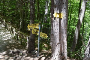 E4 Trail Signpost – Mount Olympus