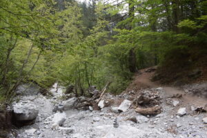 Forest Trail Crossing a Mountain Stream, Mount Olympus