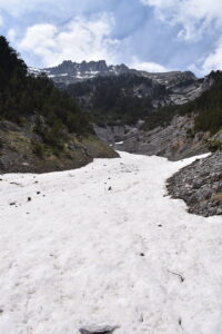 Snowfield Below the High Peaks of Mount Olympus